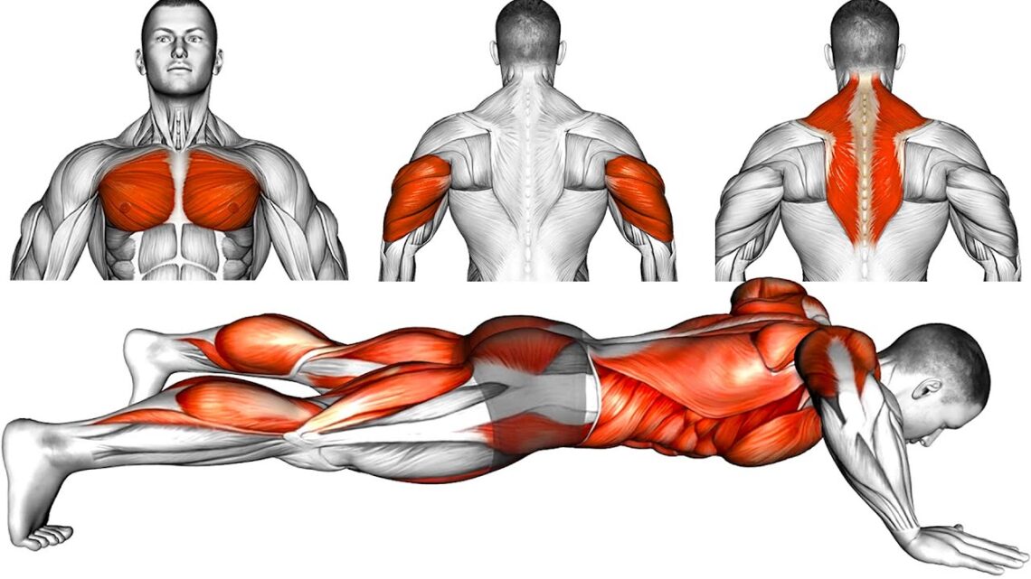 Best Push-Up Variations for Effective Muscle Growth