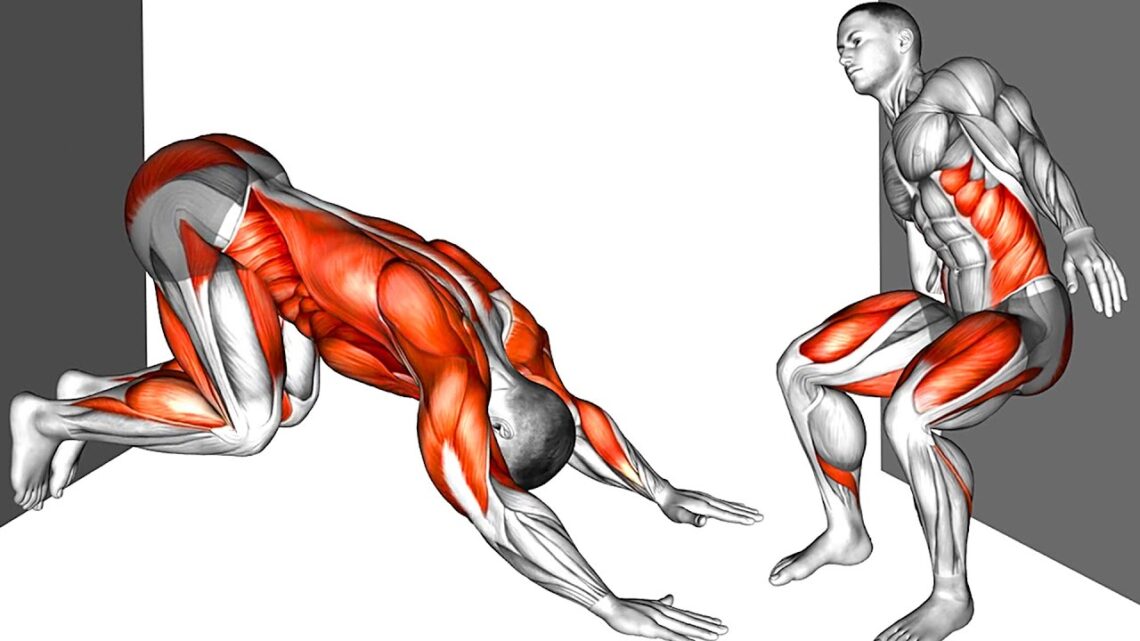 Stretching and Strength Exercises at Home Against the Wall