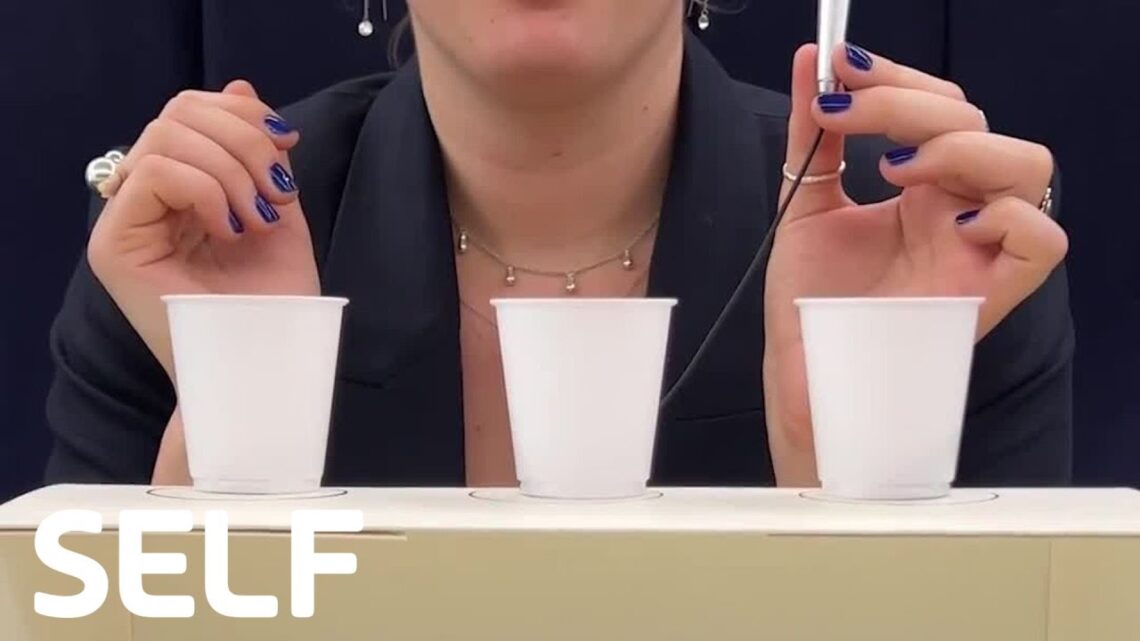 Can They Guess the Protein Bar Flavor?