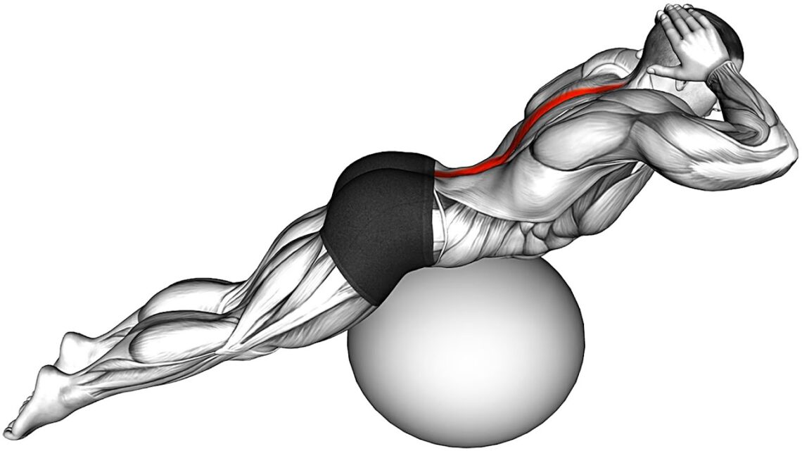 10 Stability Ball Exercises for a Total Body Workout