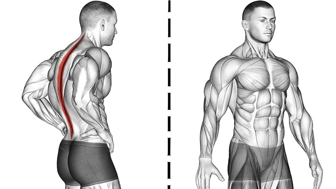 Good Standing Posture   Exercises to improve your posture