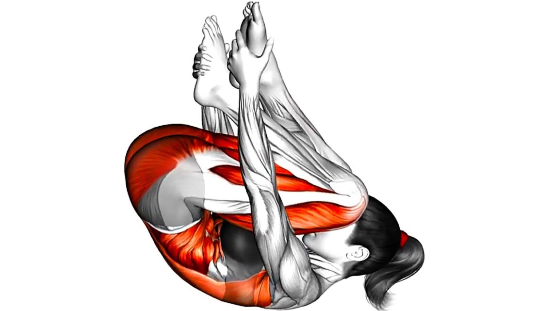 Full Body Mobility (No Equipment Needed)