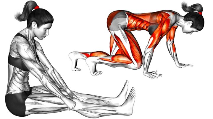 Mobility Morning Exercise At Home