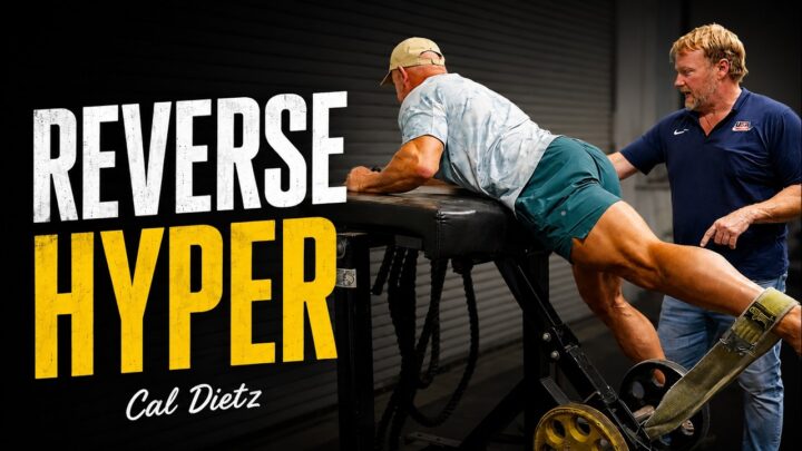 How to Use the Reverse Hyper for Athletes  Cal Dietz